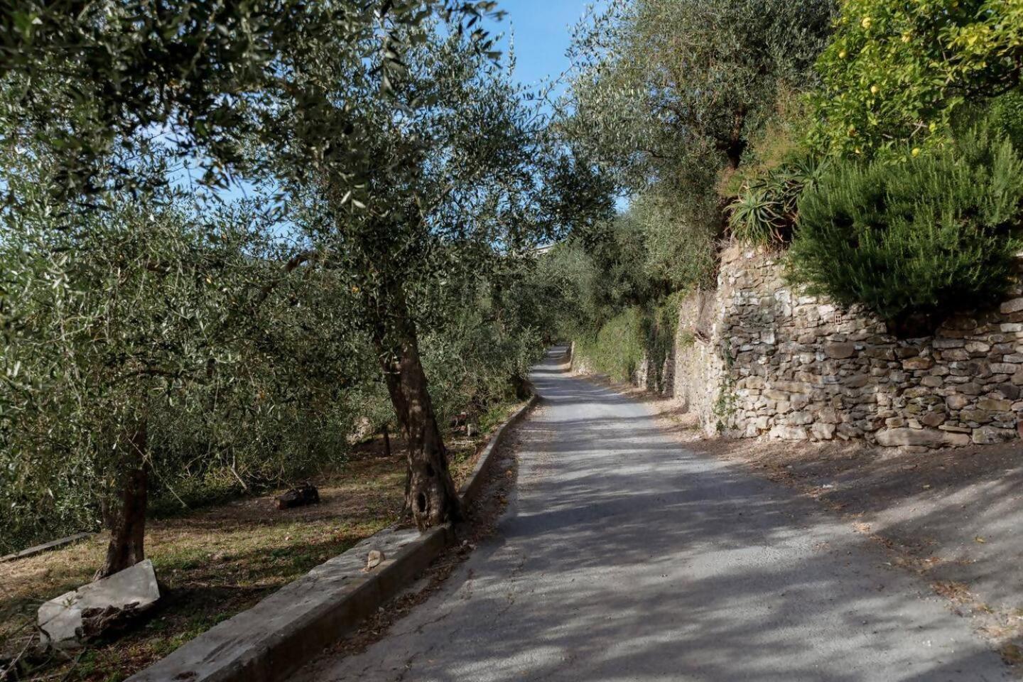 Appartamento Alba Dachi Farm Marina dʼMarina dʼAndora Exterior foto