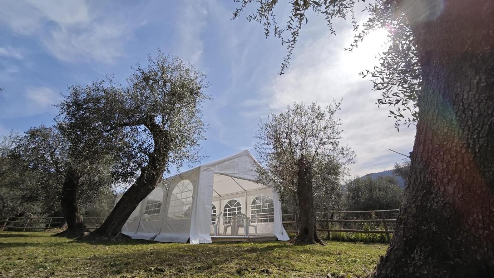 Appartamento Alba Dachi Farm Marina dʼMarina dʼAndora Exterior foto